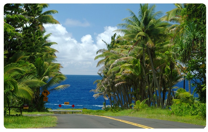 Driving Big Island road