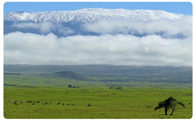 mauna kea